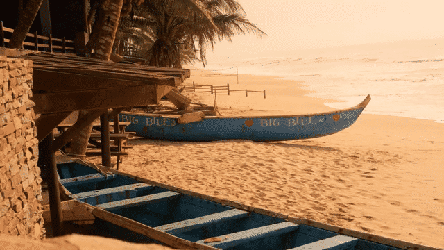 Snorkeling Tour