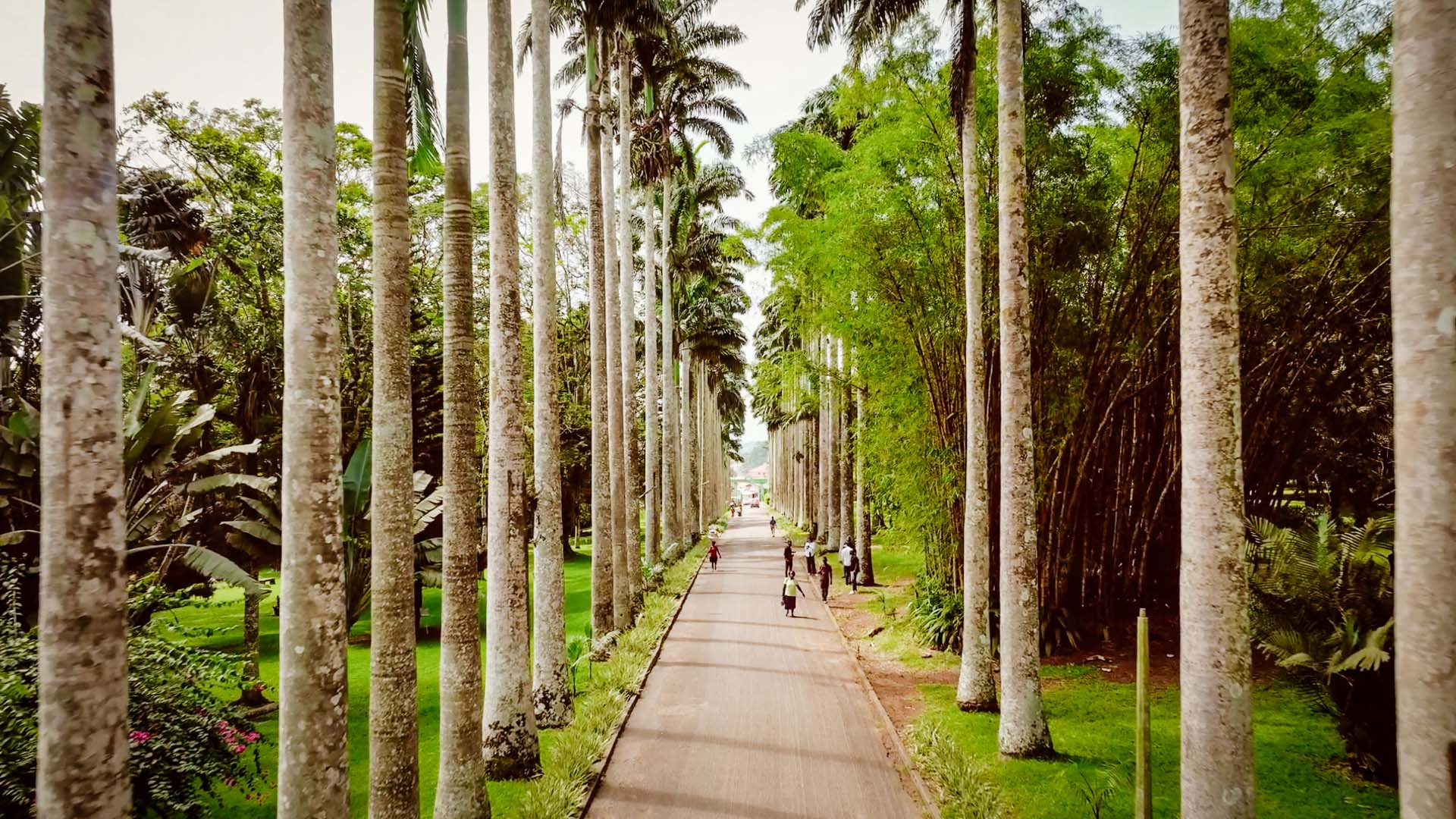 Botanical Gardens