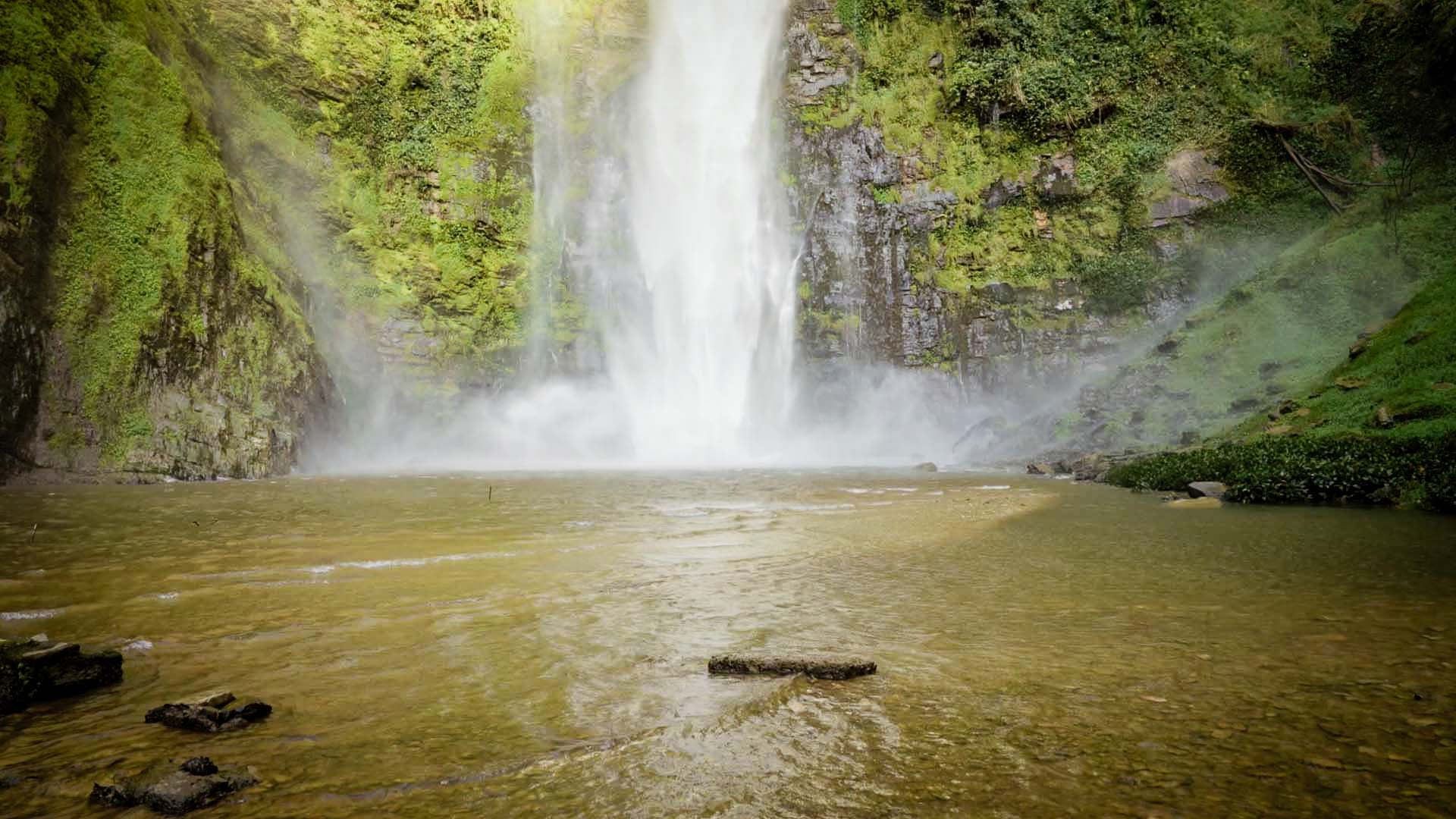 Wli Waterfalls